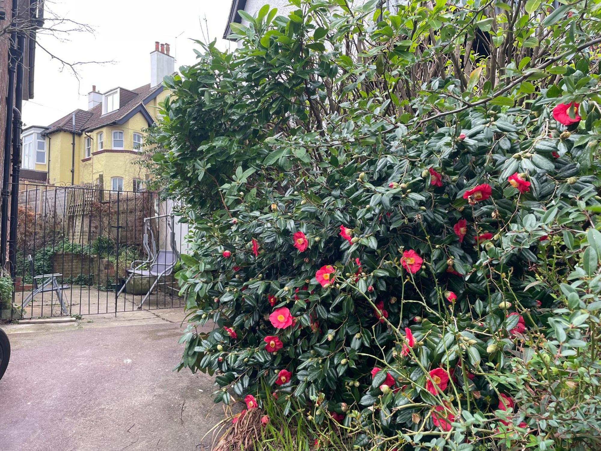 Livadia House At St Leonards On Sea Bed and Breakfast Buitenkant foto
